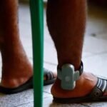 Mais de 20 cabeças de gado e dois caminhões são apreendidos no sudeste do Pará