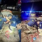Taxa de mortes no trânsito tocantinense é a maior do Brasil