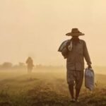 Transformação Digital: Maranhão se torna 1º Estado a digitalizar benefícios sociais