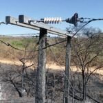 Trabalho escravo no Pará: mais de 13 mil pessoas foram resgatadas nos últimos 29 anos