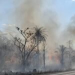 Maranhão cria mais de 2,8 mil novos empregos formais, aponta Caged