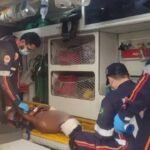 Brigitte Bardot se recupera em casa após ser internada para cirurgia