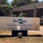 Piauienses são presos transportando jumentos que seriam abatidos e vendidos como carne de boi