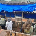 Incêndio atinge área de mata próxima à rodovia Transamazônica