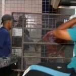 Brandão afirma que Rubens Júnior tentou negociar tramitação de processo no STF