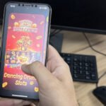 Cachorro morre enforcado ao tentar pular da janela de carro