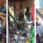 Jimmy Cliff, referência do reggae mundial, morre aos 81 anos