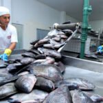 Ex-Presidente: Jair Bolsonaro é preso pela Polícia Federal