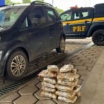 Presidente da Assembleia e outros políticos comentam retornode Wanderlei ao governo do Tocantins