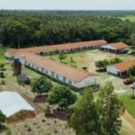 Governo renova contrato de R$ 11 milhões para táxi aéreo após cancelar aluguel de jatinho