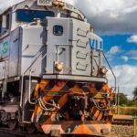 Ossada humana com tornozeleira eletrônica é encontrada em Paragominas