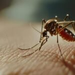 Ônibus com passageiros tomba a caminho de balneário no interior do Maranhão