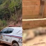 Telebras encerra inscrições para concurso nesta sexta-feira (2)