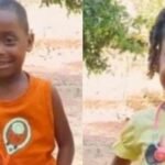 Quase 1 milhão de pescadores artesanais são advertidos por falta de envio do REAP