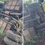 Tocantins é o 2º em casos de hanseníase e vive cenário crítico de doenças negligenciadas