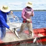 Irmãos Seguem Desaparecidos: Buscas por crianças desaparecidas em Bacabal entram no 8º dia