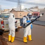 Justiça interdita matadouro público por irregularidades sanitárias