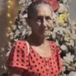 REVOLTANTE: Cavalo é amarrado, morto e mutilado em fazenda