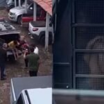 IMPERATRIZ: Mulher é morta a golpes de faca após se recusar a dormir com ex-companheiro