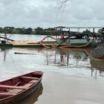 Dois cavalos morrem após colisão; veículo capotou na rodovia