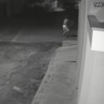 AÇAILÂNDIA: Confronto termina com dois suspeitos mortos e apreensão de armas e drogas