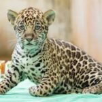 Adolescente é apreendido suspeito de tráfico de drogas dentro de escola