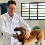 Publicada lista de candidatos ao cargo de procurador-geral de Justiça