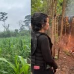 CONFESSOU: Homem é detido por maus-tratos após atirar contra burro