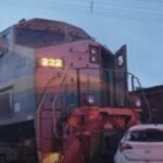 Em Parauapebas, homem morre após ser atacado por porco