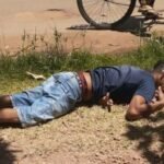 TOCANTINS: Governo adia cobrança de ICMS para incentivar compra de caminhões a gás