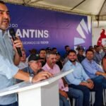 Justiça Federal suspende desmatamento das margens da BR-010 em Imperatriz