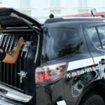 Orleans descarta crise com prefeito de Imperatriz e reafirma aliança política