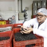 Desenrola Fies: prazo para renegociar dívida termina nesta segunda (31)