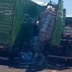 PRF e PM apreendem 150 cabeças de gado com documentação falsa em Porto Franco