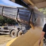 ARAGUATINS: Comerciante é flagrado despejando resíduos de fossa em avenida