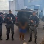 Palmas prorroga concurso da Educação por mais dois anos e propõe criação de 1.570 novas vagas